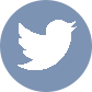 Visita nuestro perfil de Twitter